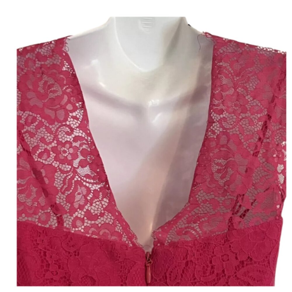 BCBG Max Azria Devom Begonia Pink Lace Overlay Sheer Lace Midriff Sleeves - Picture 8 of 11